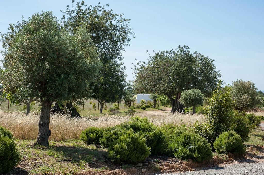 Pensao Agricola Guest House Cabanas De Tavira Exterior foto